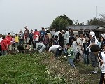 dscf9854 dscf9854