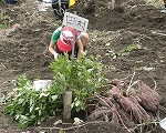 dscf9910 dscf9910