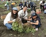 dscf9917 dscf9917