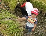 dscf9941 dscf9941