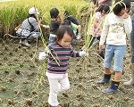 dscf9955 dscf9955