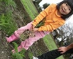 dscf9988 dscf9988